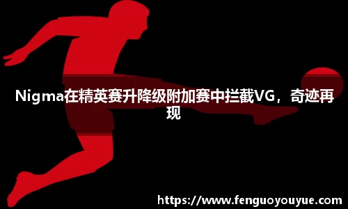 Nigma在精英赛升降级附加赛中拦截VG，奇迹再现